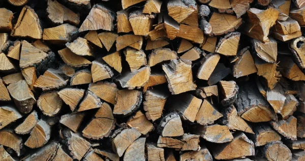 Full stack of logs